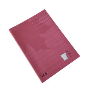 Standard-A5-Couverture souple-Notebook-Journal-Premium-Quality