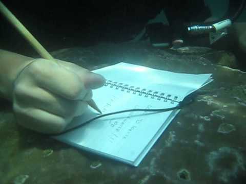 Carnet de notes étanche sous l'eau