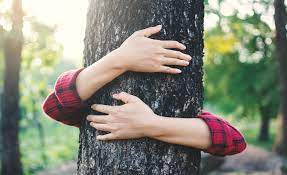 Forêts protégées