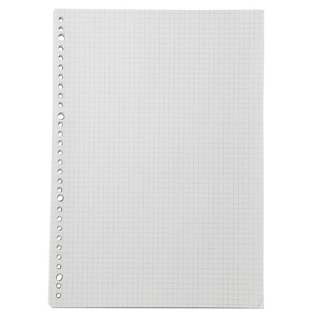 Grid Loose Leaf Notebook Paper