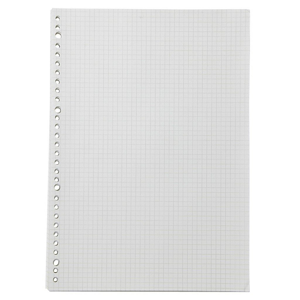 Papier pour carnet de notes à feuilles mobiles quadrillées